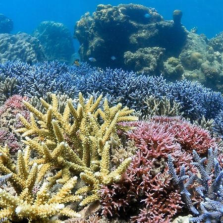 فندق Alam Karang Gili Gede المظهر الخارجي الصورة